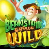 La Planta de Frijol Crece Salvaje